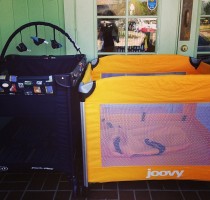 Pack N Play New Arrivals!