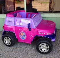 Does your Princess need a new ride? Check out this 2 Seater Power Wheels!